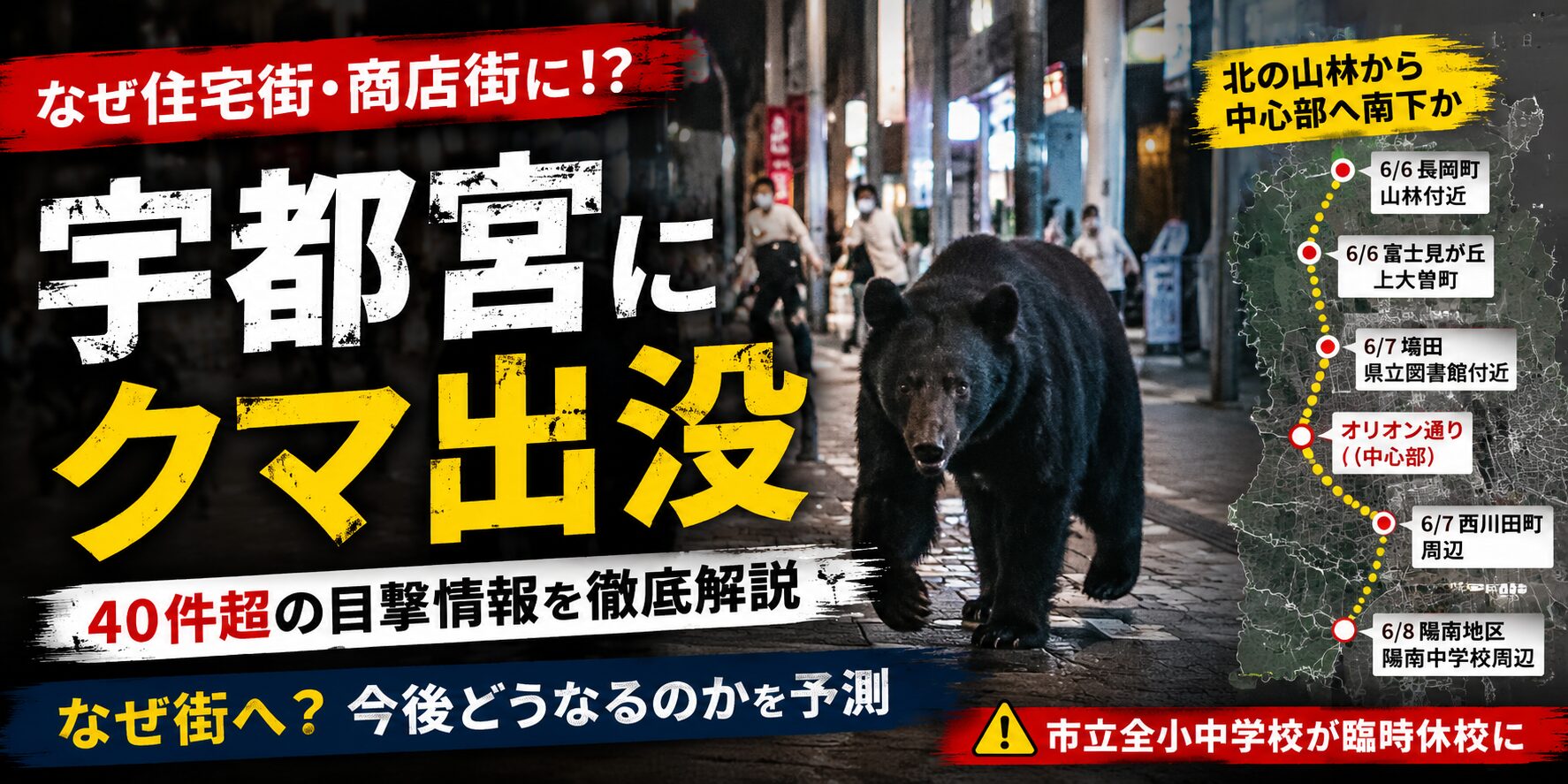 宇都宮市でクマが市街地に出没